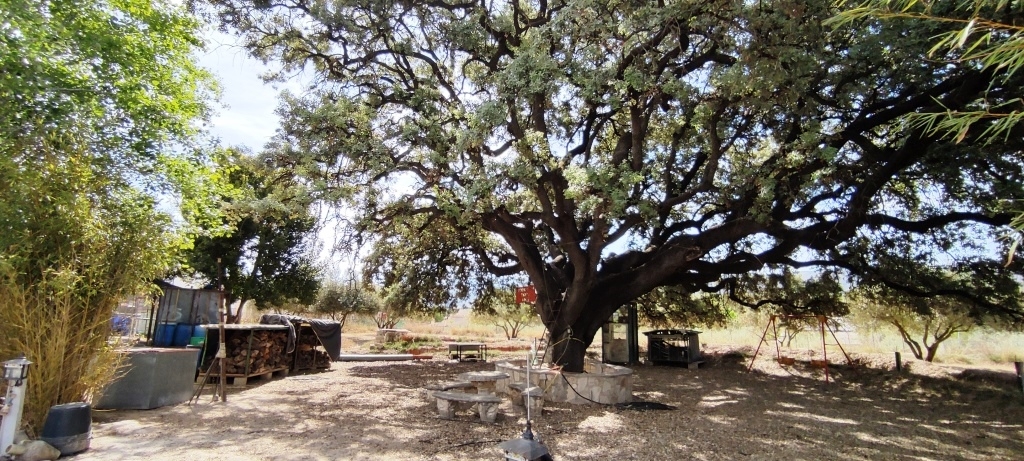 Na sprzedaż - Country House - Ontinyent