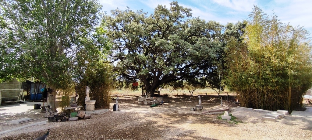 Na sprzedaż - Country House - Ontinyent