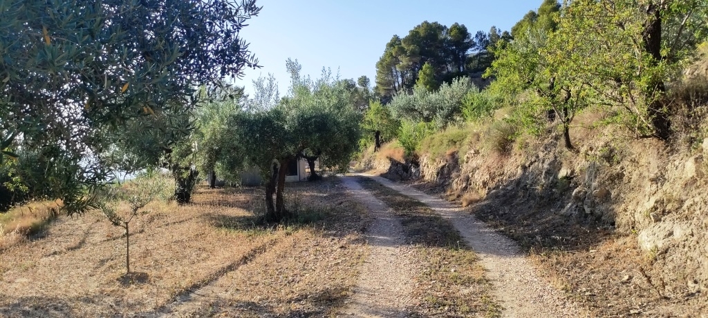 Reventa - Country House - Benasau