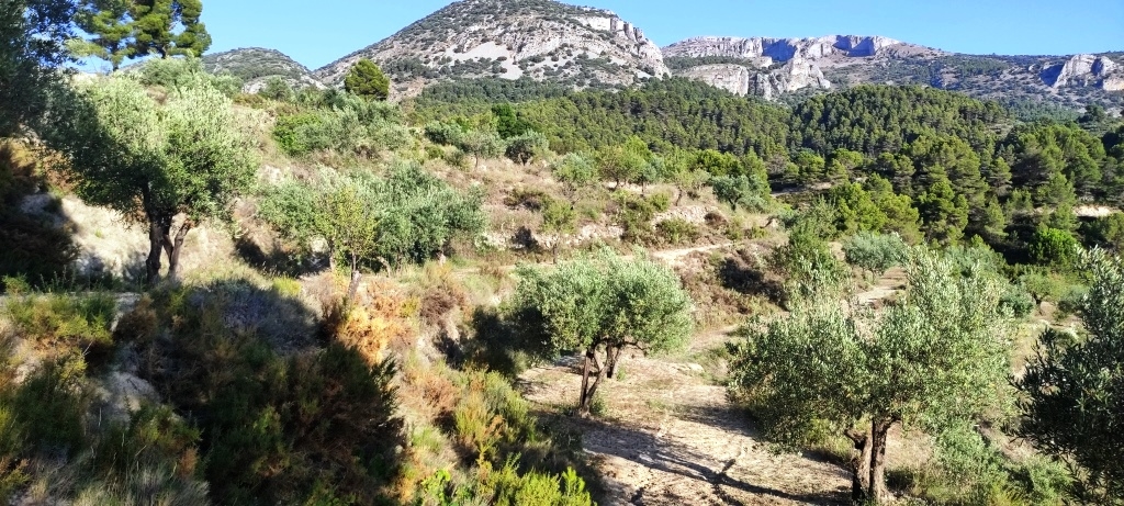 Reventa - Country House - Benasau