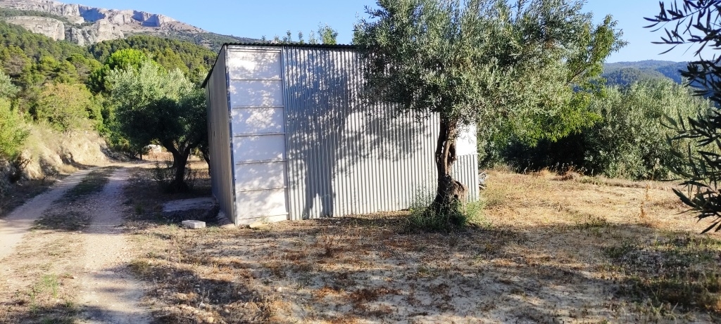 Reventa - Country House - Benasau