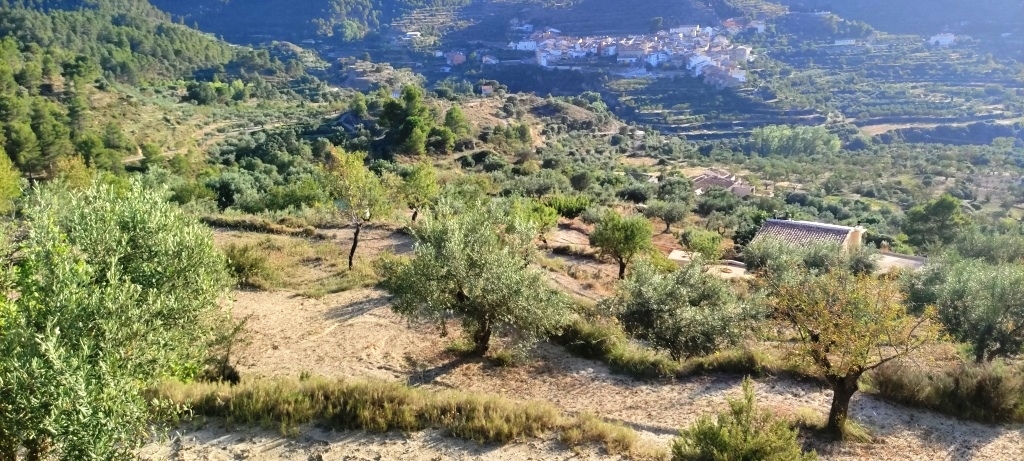 Reventa - Country House - Benasau