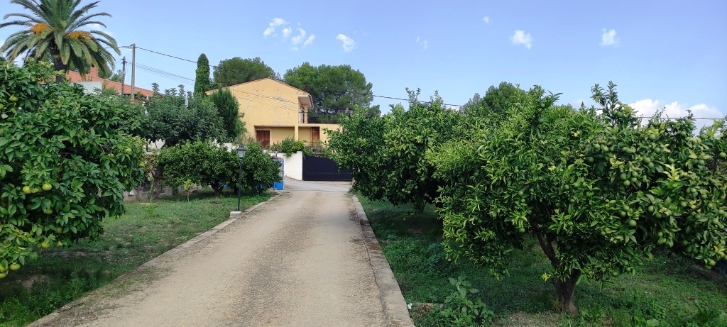 Vente - Country House - Albaida