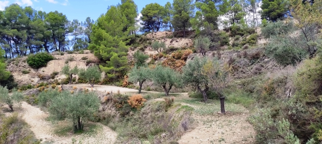 Reventa - Country House - Benasau