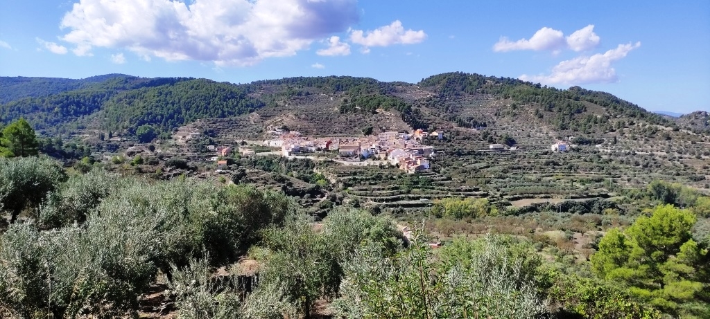 Reventa - Country House - Benasau