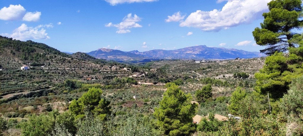 Reventa - Country House - Benasau