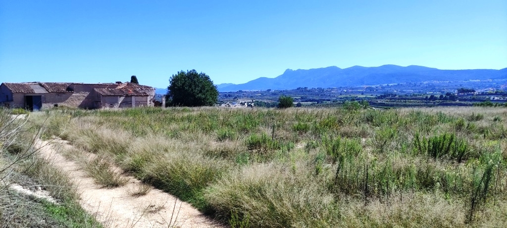 Reventa - Finca - Albaida