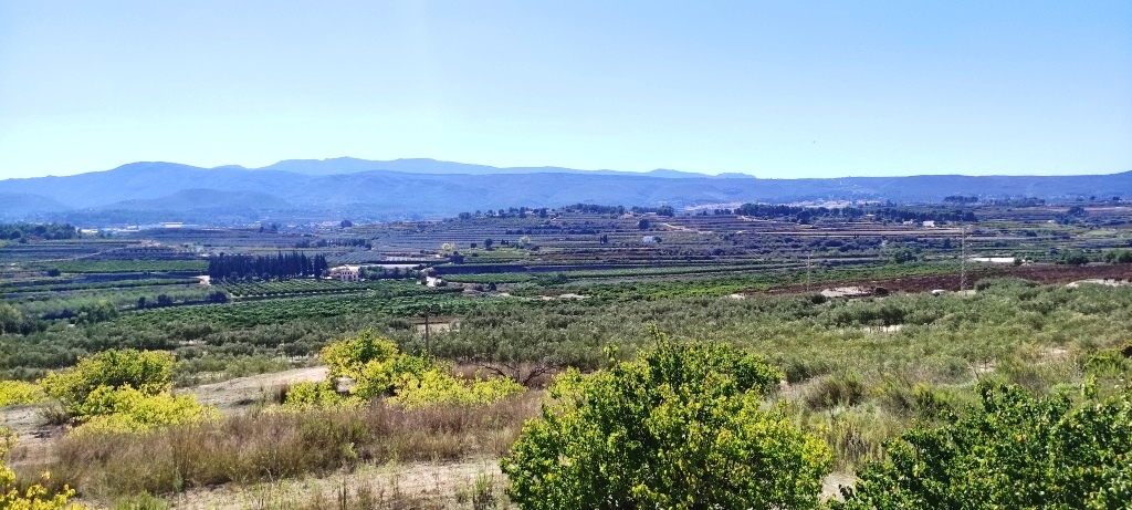 Reventa - Finca - Albaida
