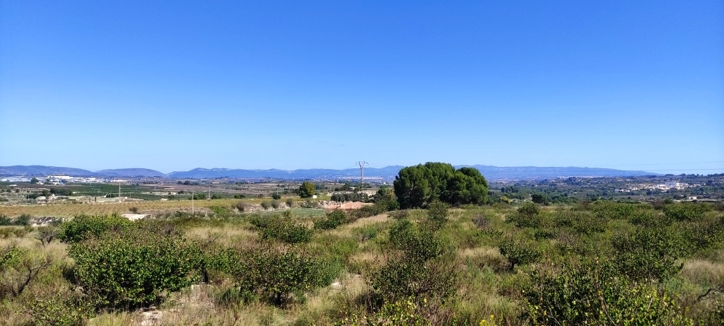 Reventa - Finca - Albaida