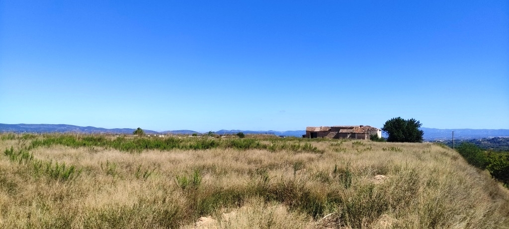 Reventa - Finca - Albaida