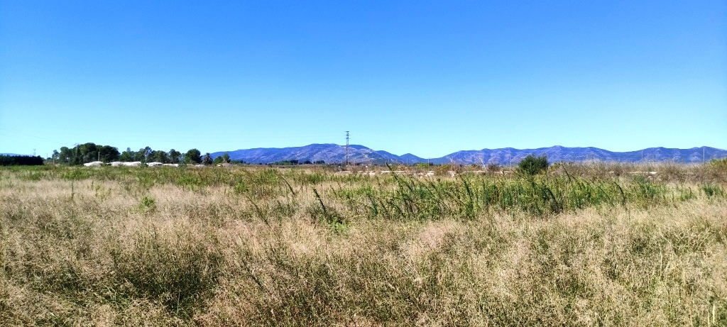 Reventa - Finca - Albaida