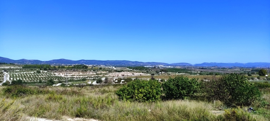 Reventa - Finca - Albaida