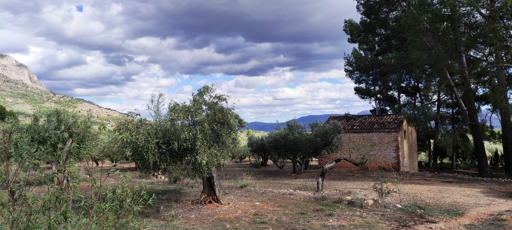  Sale - Country House - Muro de Alcoy