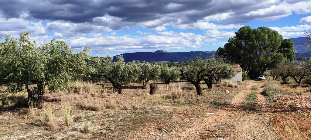  Sale - Country House - Muro de Alcoy