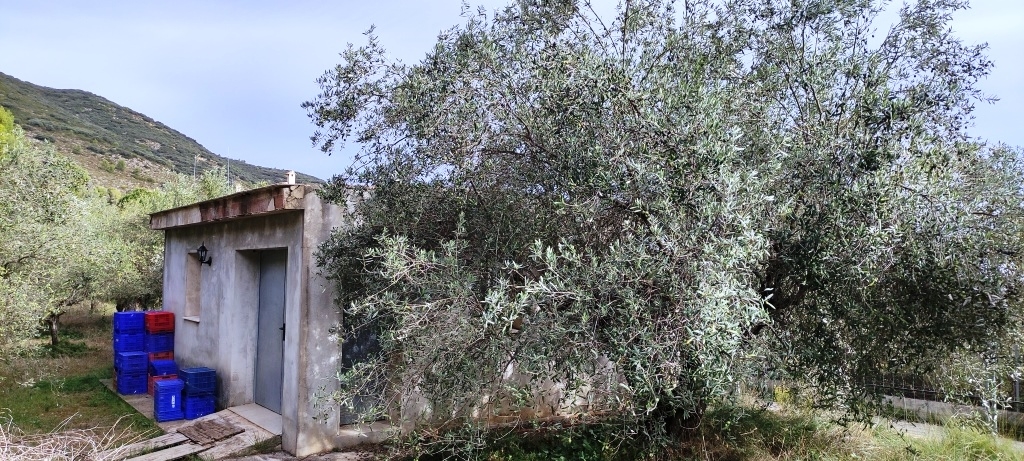 Verkauf - Country House - Villalonga