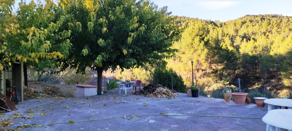  Sale - Finca - Alcoy