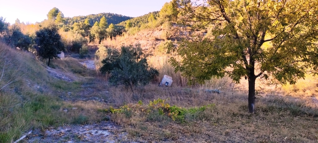  Sale - Finca - Alcoy