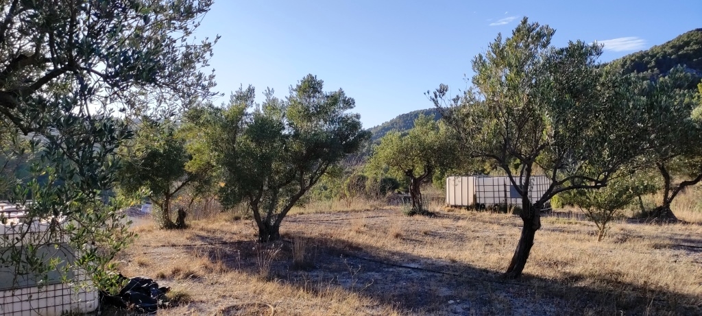  Sale - Finca - Alcoy