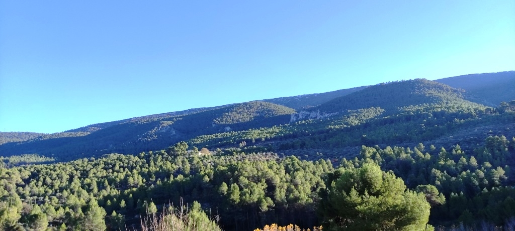  Sale - Finca - Alcoy