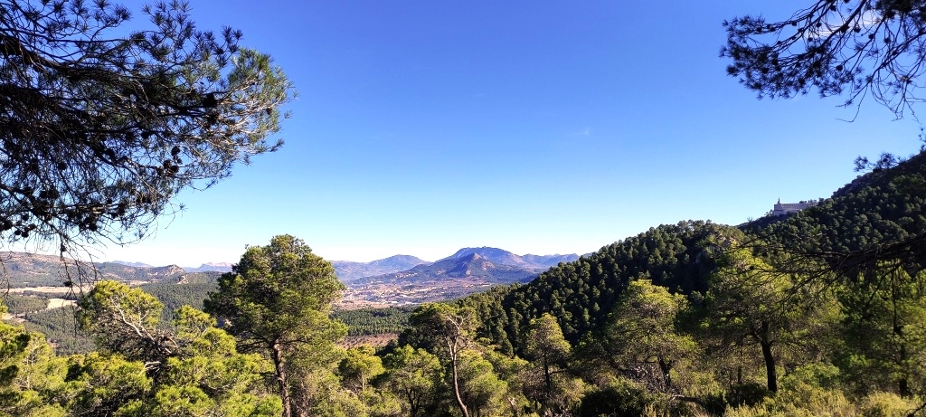  Sale - Finca - Alcoy