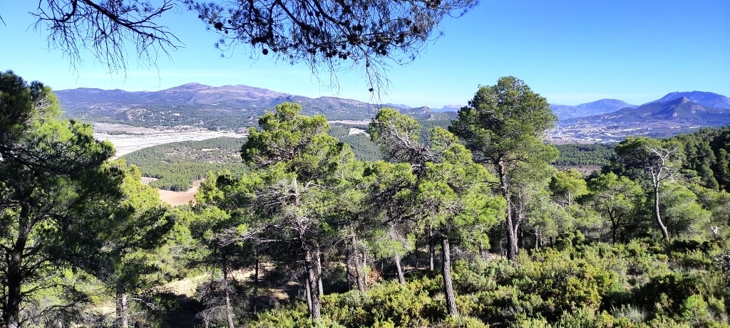  Sale - Finca - Alcoy