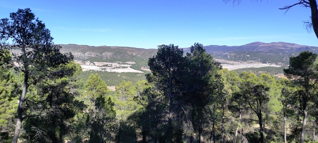  Sale - Finca - Alcoy