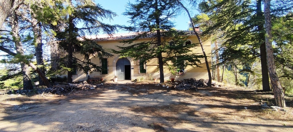  Sale - Finca - Alcoy