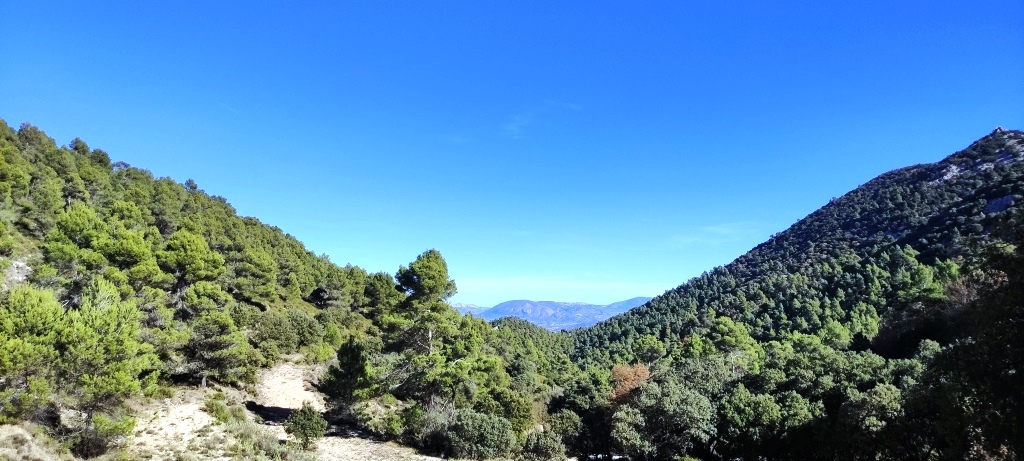  Sale - Finca - Alcoy