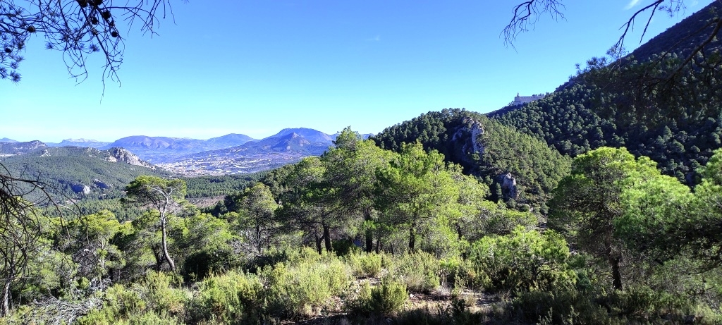  Sale - Finca - Alcoy