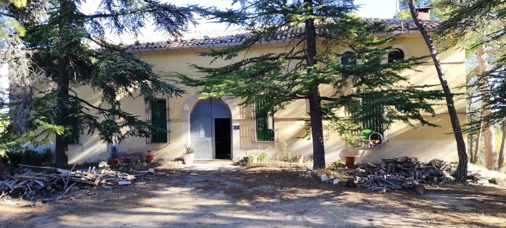  Sale - Finca - Alcoy