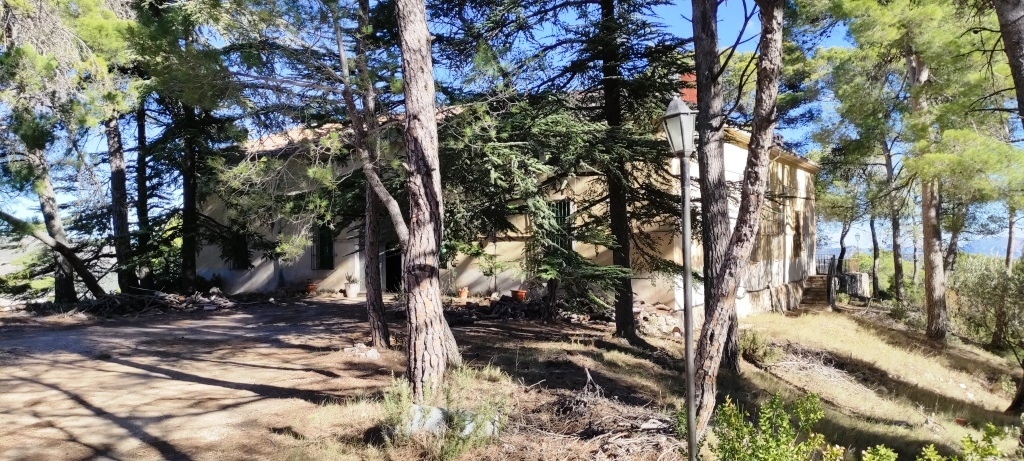  Sale - Finca - Alcoy