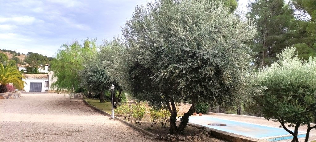 Reventa - Villa - Cocentaina