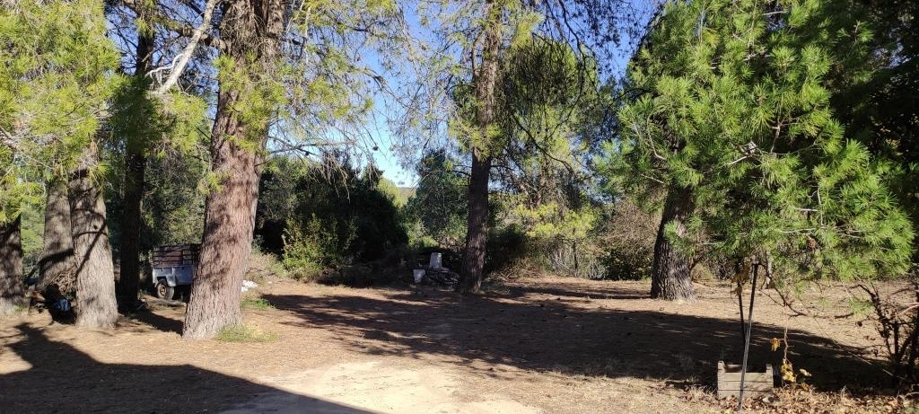 Na sprzedaż - Finca - Bocairent