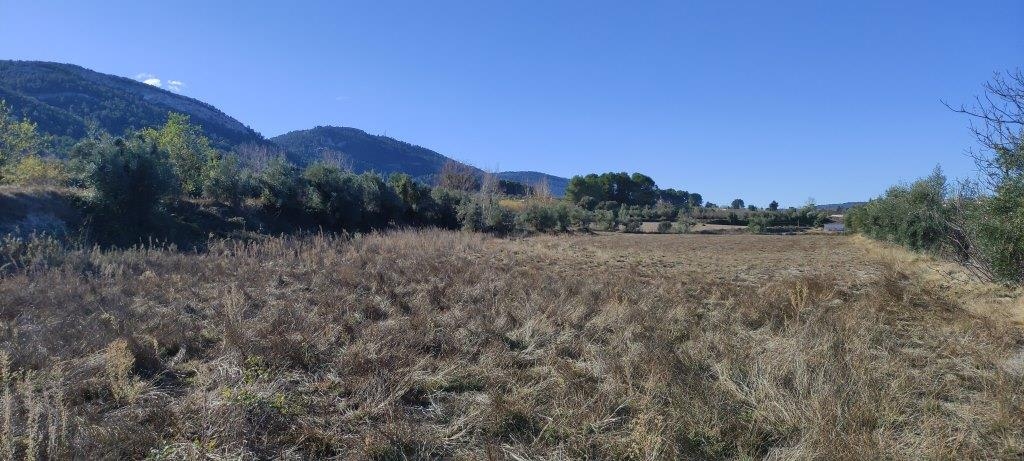 Na sprzedaż - Finca - Bocairent