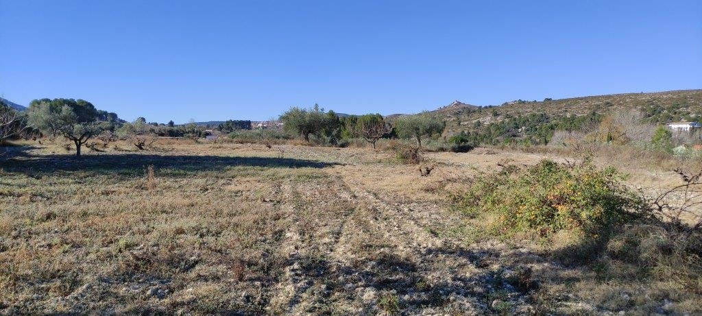 Na sprzedaż - Finca - Bocairent