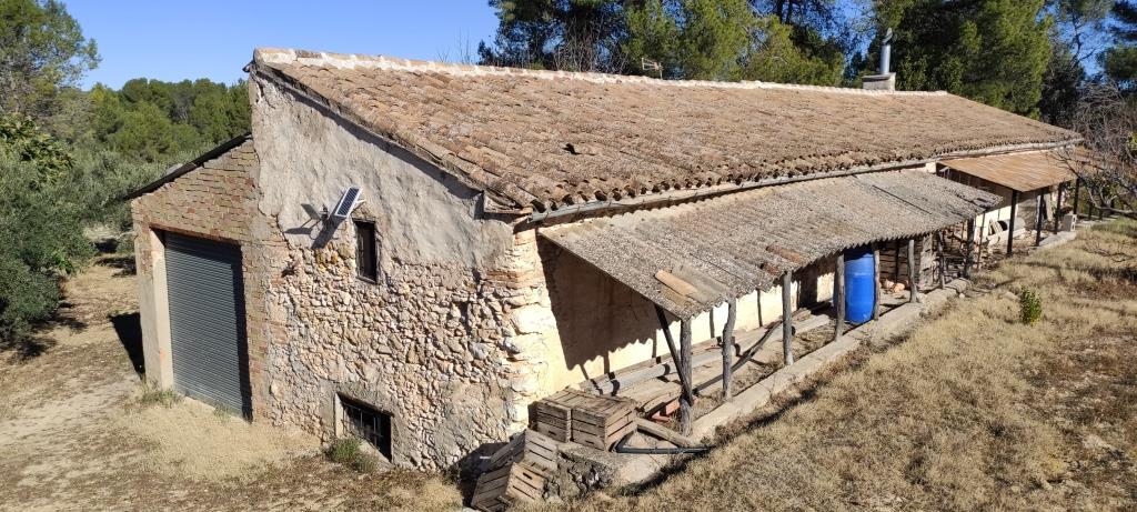 Na sprzedaż - Finca - Bocairent