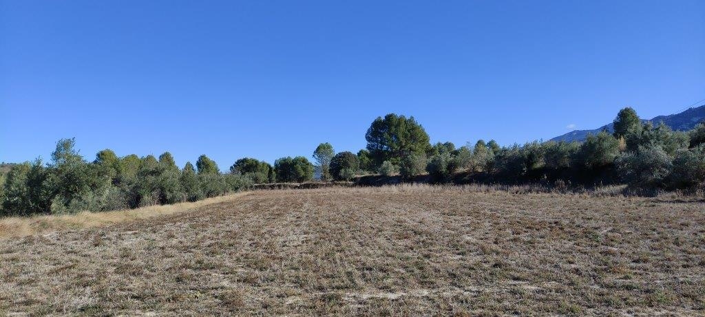 Na sprzedaż - Finca - Bocairent