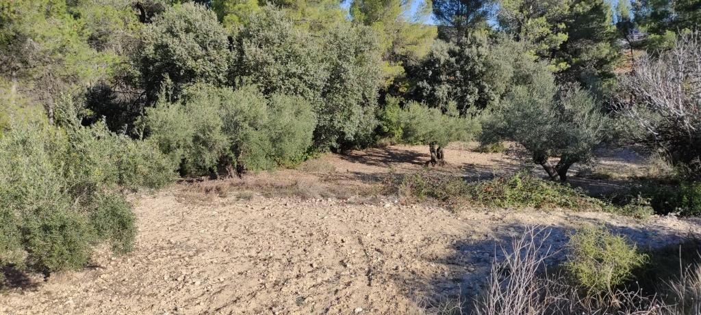 Na sprzedaż - Finca - Bocairent