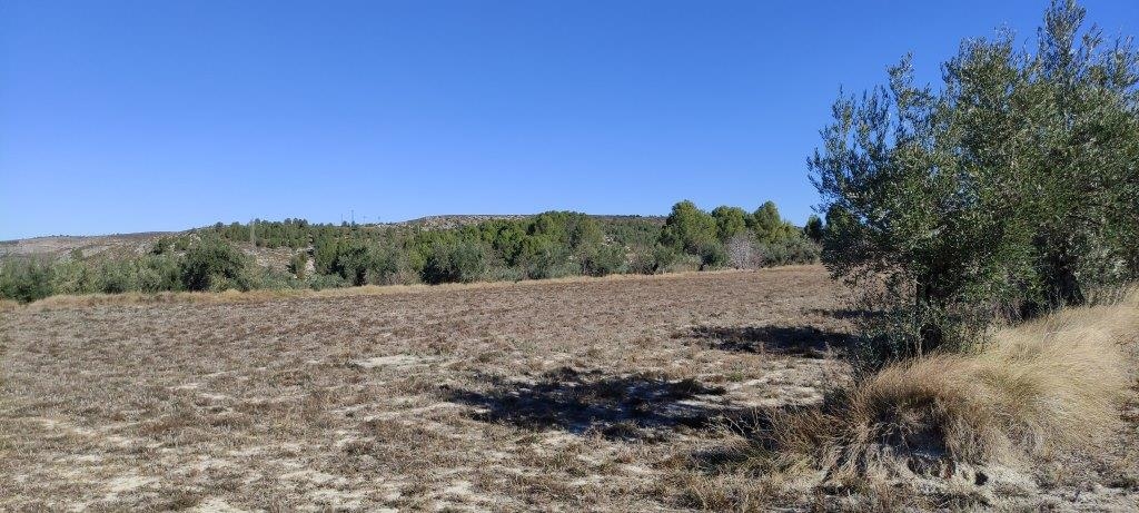 Na sprzedaż - Finca - Bocairent