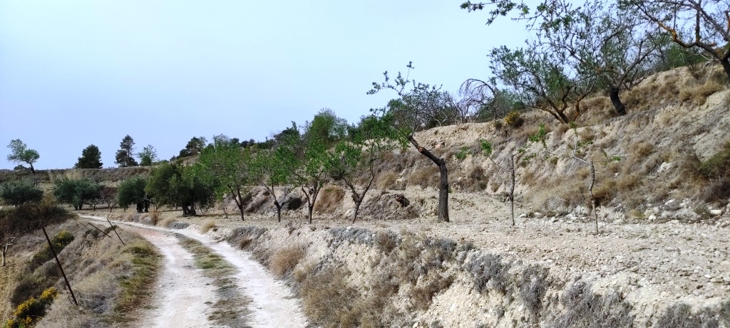 Videresalg - Finca - Penáguila