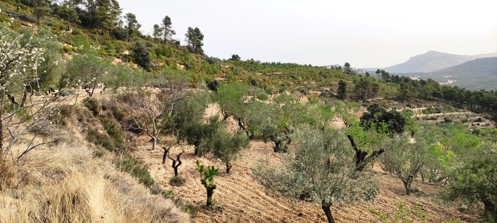 Videresalg - Finca - Penáguila