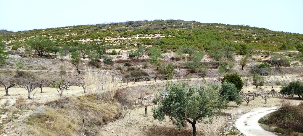 Videresalg - Finca - Penáguila