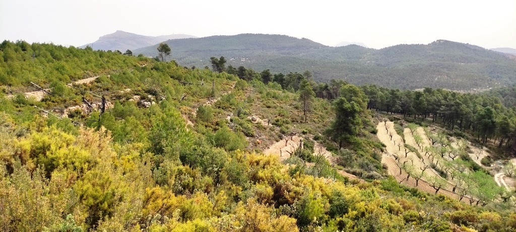 Videresalg - Finca - Penáguila