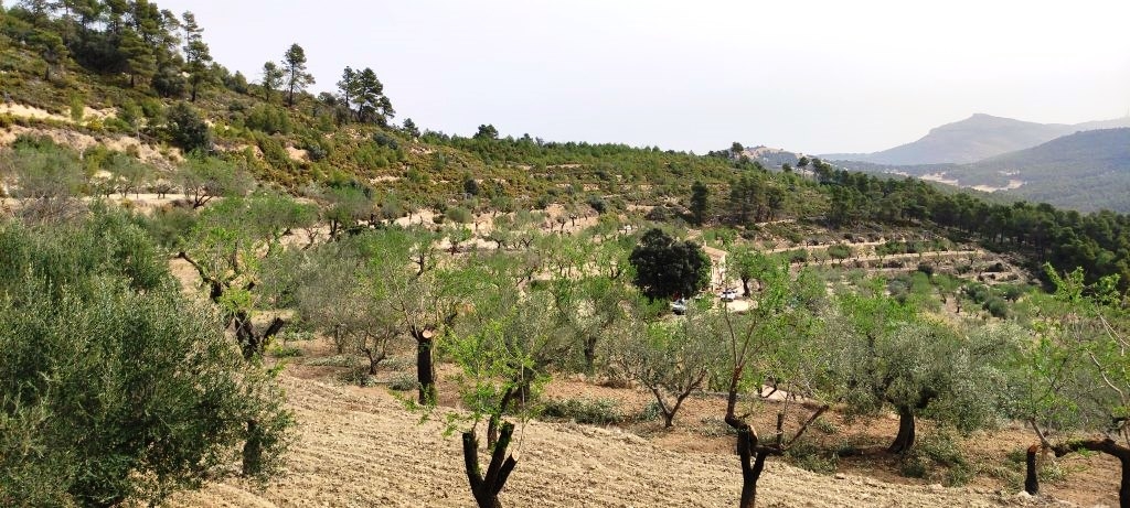 Videresalg - Finca - Penáguila