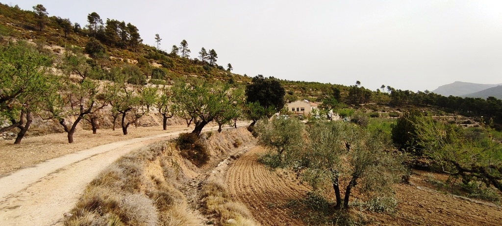 Videresalg - Finca - Penáguila