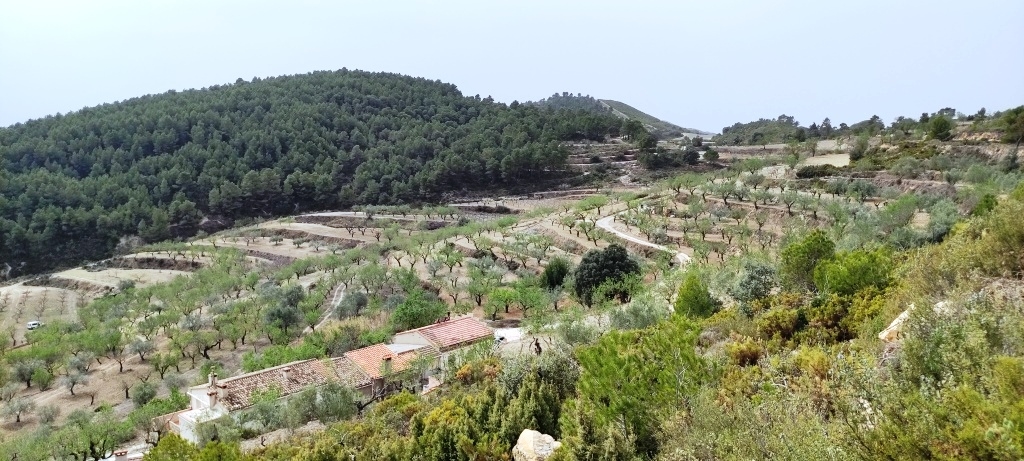 Videresalg - Finca - Penáguila