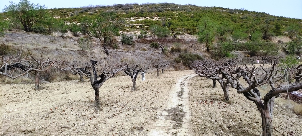 Videresalg - Finca - Penáguila