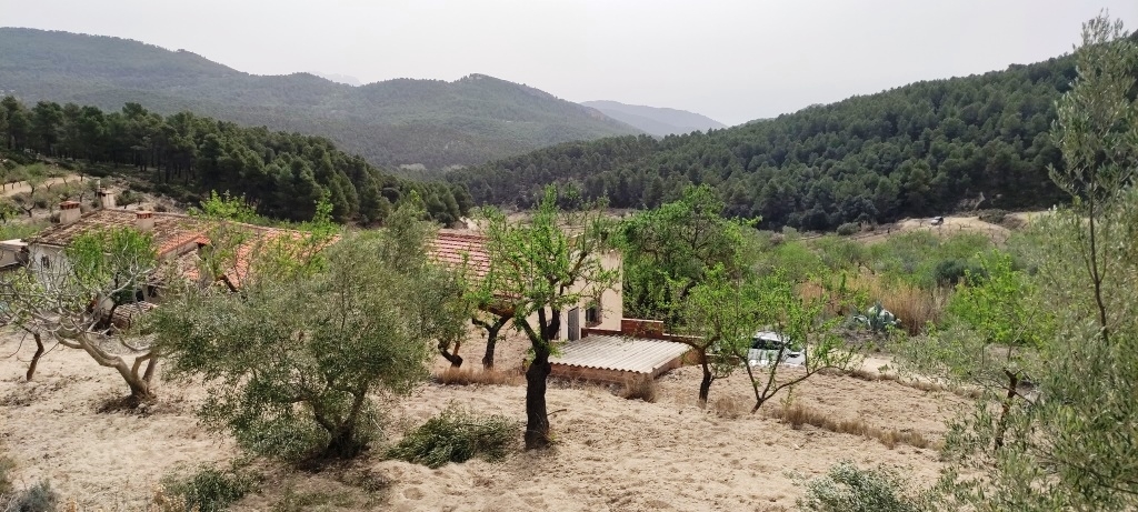 Videresalg - Finca - Penáguila