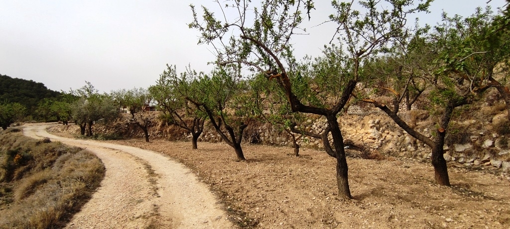 Videresalg - Finca - Penáguila