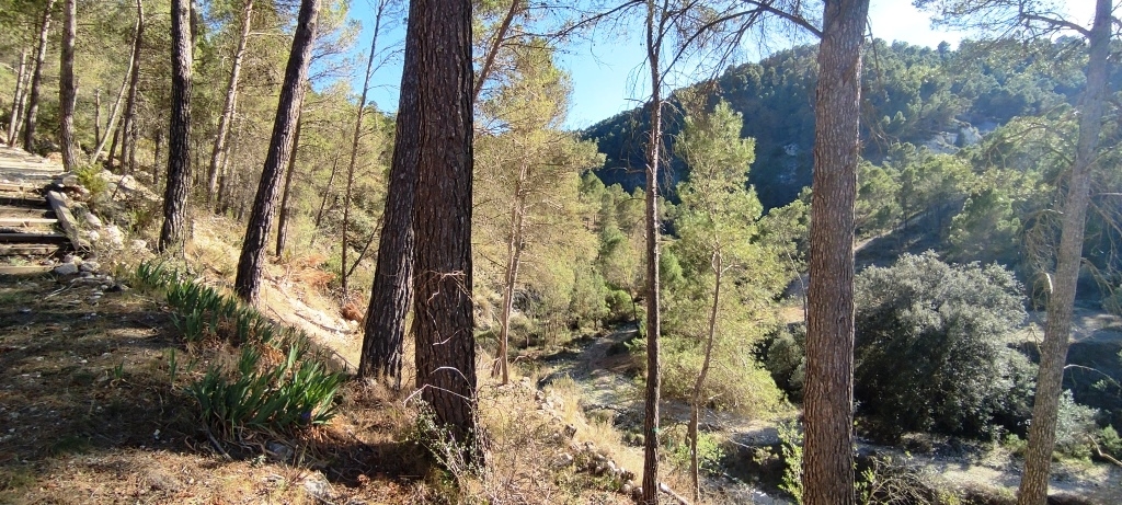 Vente - Finca - Alcoy